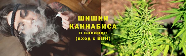 прущие крисы Шали