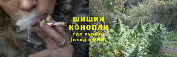 скорость Шадринск