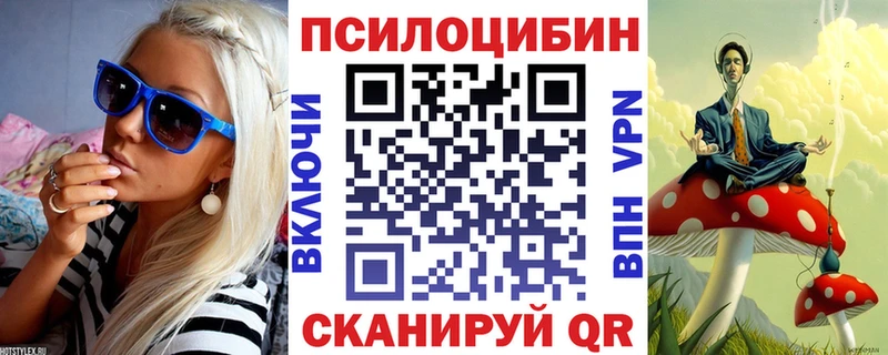 Псилоцибиновые грибы Psilocybe  omg как зайти  Верхнеуральск 